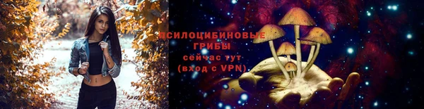 хмурый Алексин