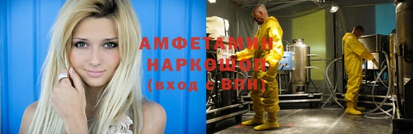 хмурый Алексин