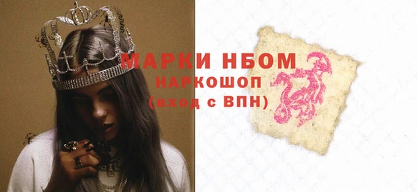 хмурый Алексин