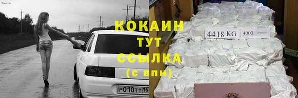 тгк Алзамай