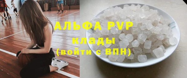 хмурый Алексин