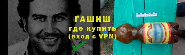 хмурый Алексин