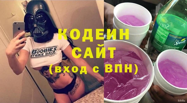 хмурый Алексин