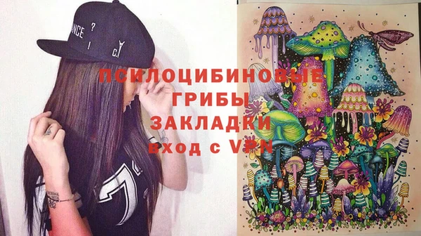 хмурый Алексин