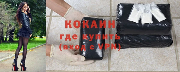 хмурый Алексин