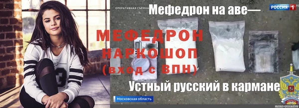 хмурый Алексин